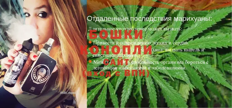 продажа наркотиков  Куровское  Конопля SATIVA & INDICA 